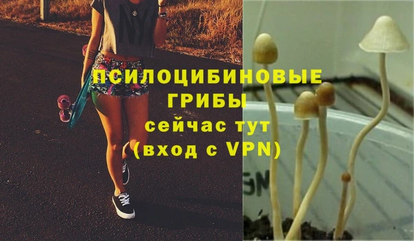 PSILOCYBIN Осташков
