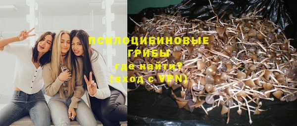 PSILOCYBIN Осташков