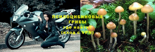 твердый Болхов