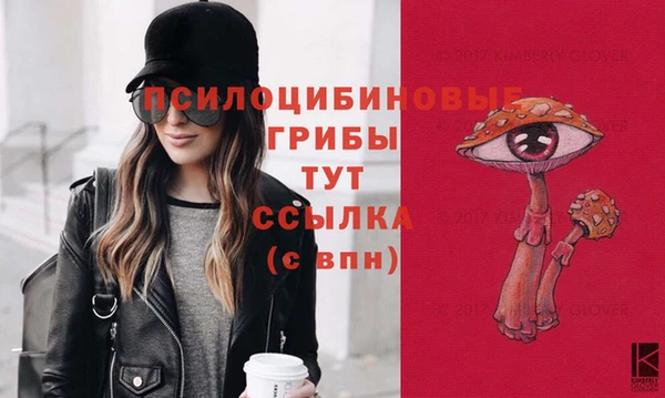 альфа пвп Осинники
