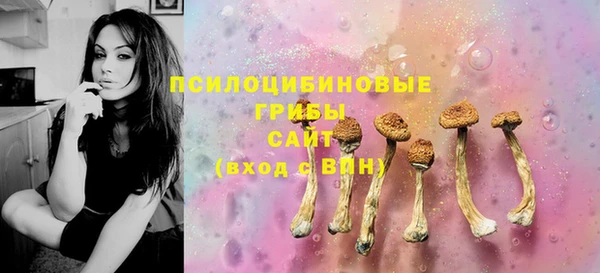 PSILOCYBIN Осташков