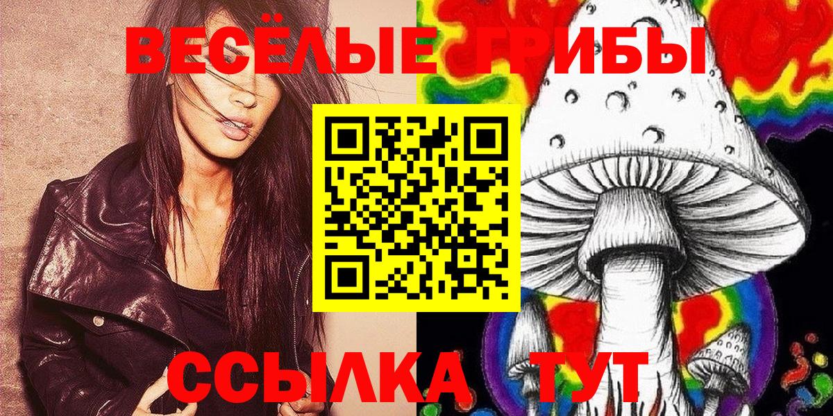 Галлюциногенные грибы MAGIC MUSHROOMS Курчалой