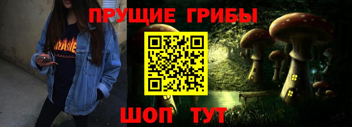 Галлюциногенные грибы GOLDEN TEACHER Курчалой