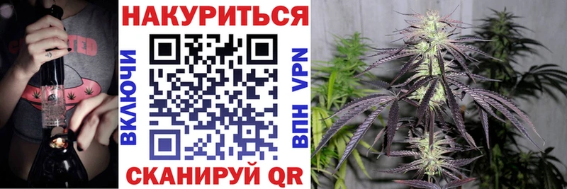 где купить   Курчалой  Марихуана White Widow 